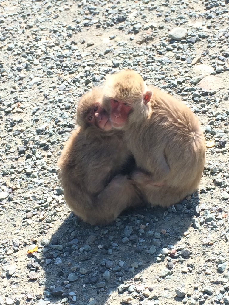 ラブラブです♡