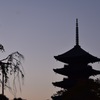 東寺