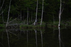 静寂