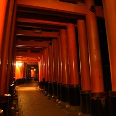 真夜中の朱