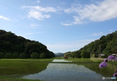 水の田