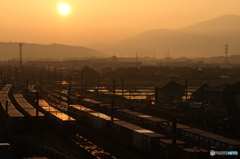 待機する貨物列車