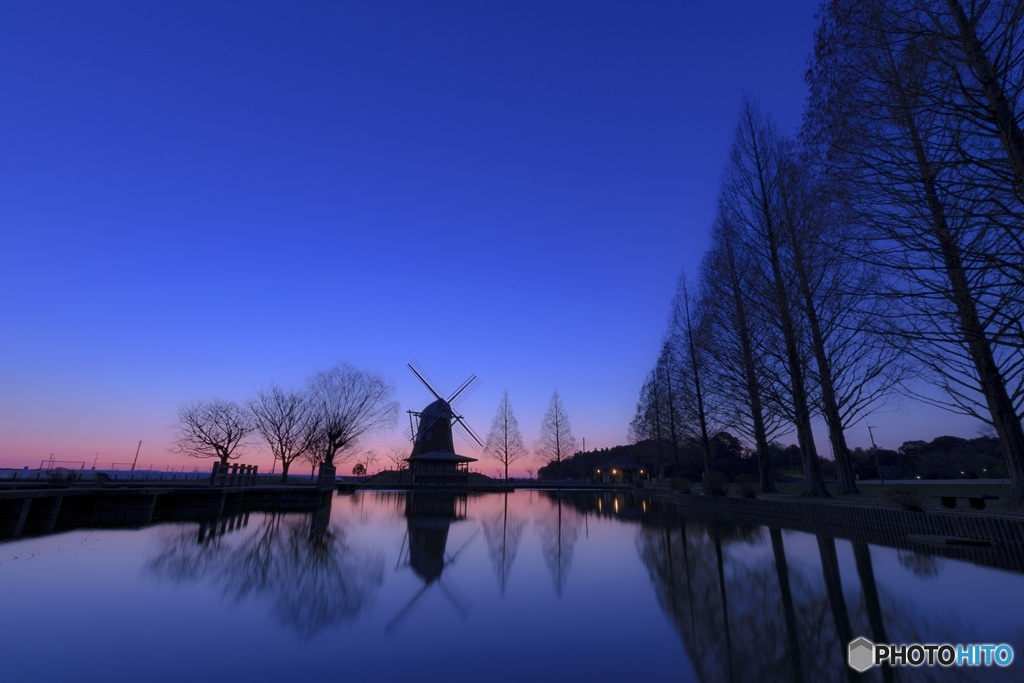 Morning Blue