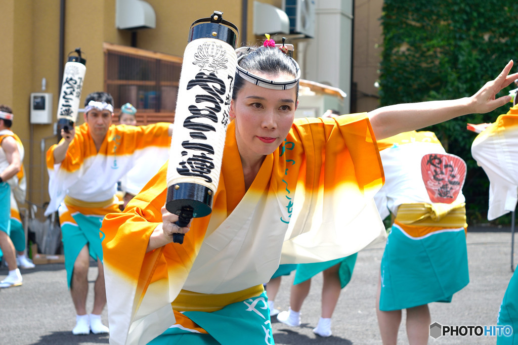 阿波踊り・やっとこ連