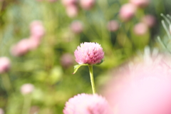P8210419