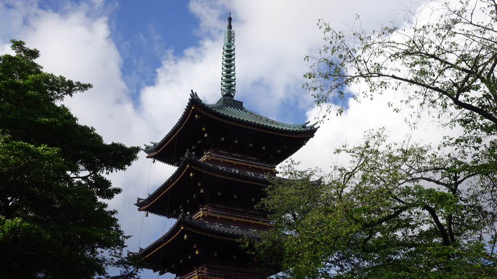 夏の上野公園を散歩する