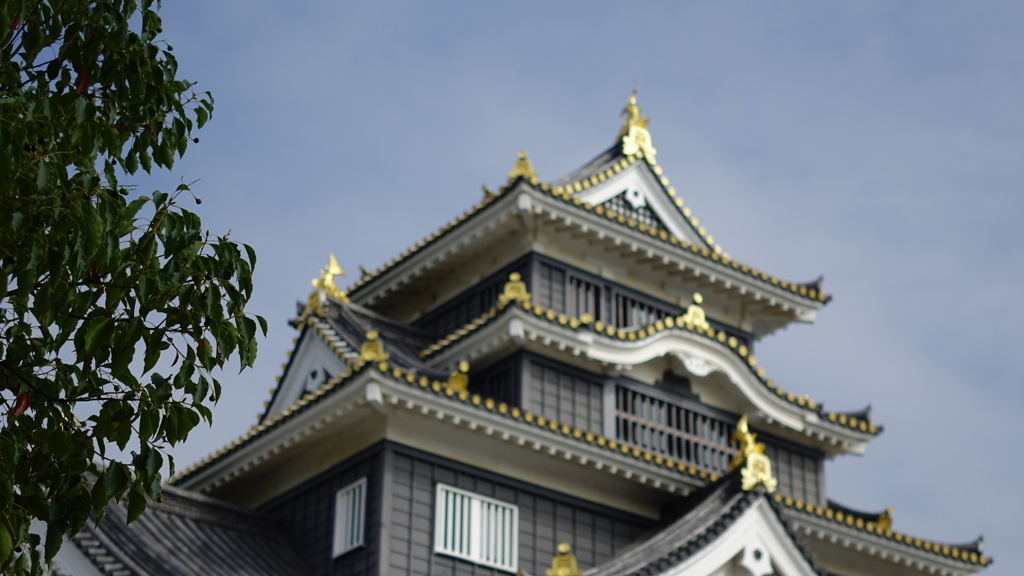 岡山城と後楽園　2014年撮影