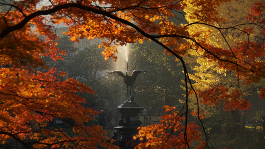 晩秋の都心　日比谷公園の紅葉