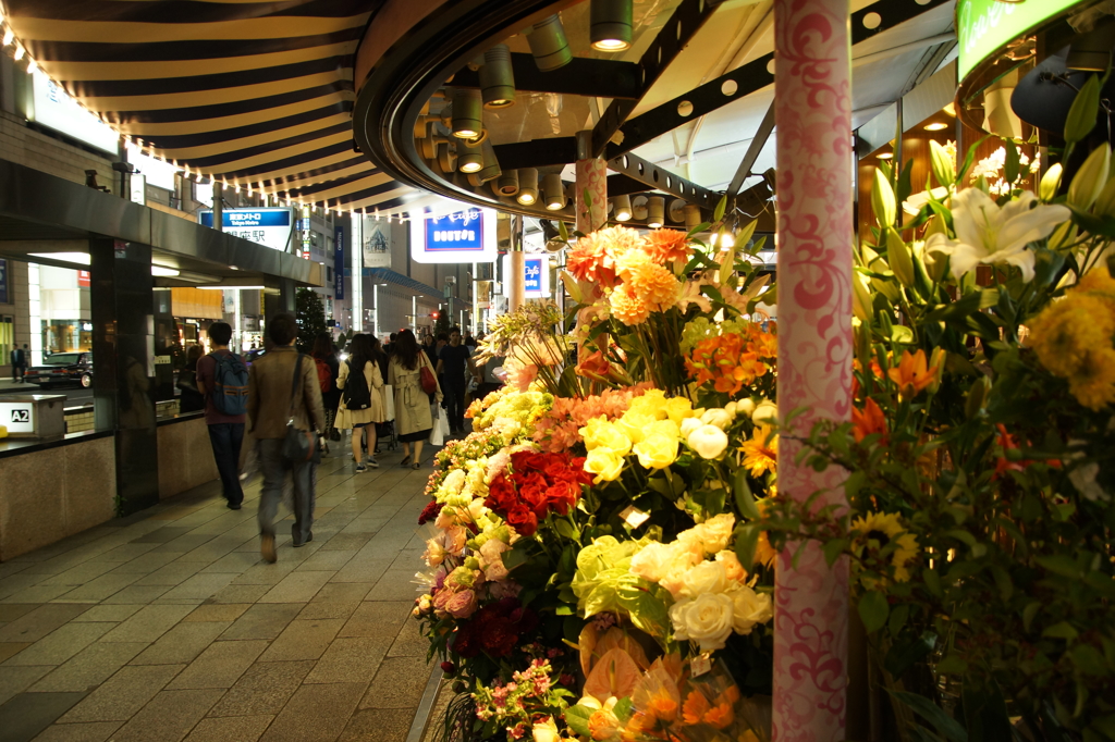 Night walk in Ginza and Shinbashi