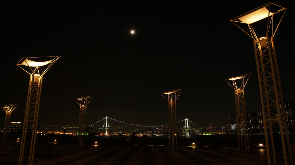 Tokyo bayside night cruising