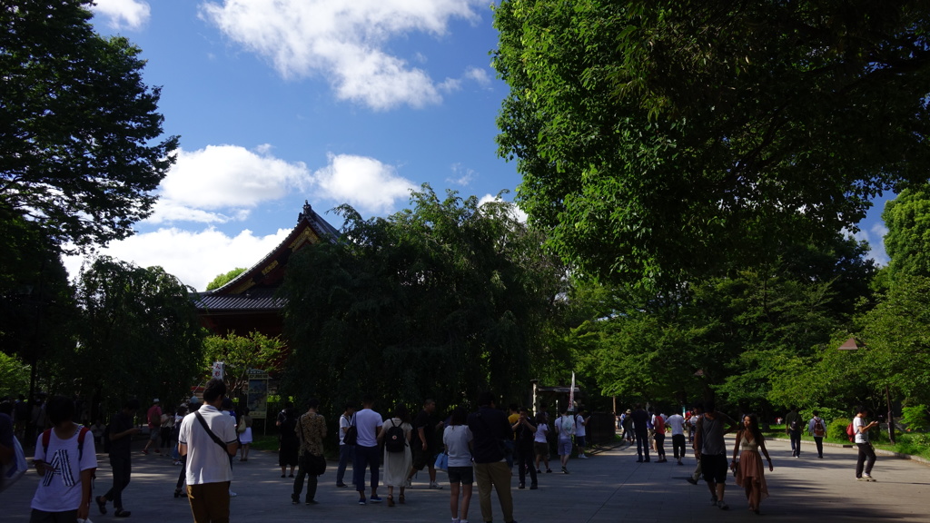 夏の上野公園を歩く2