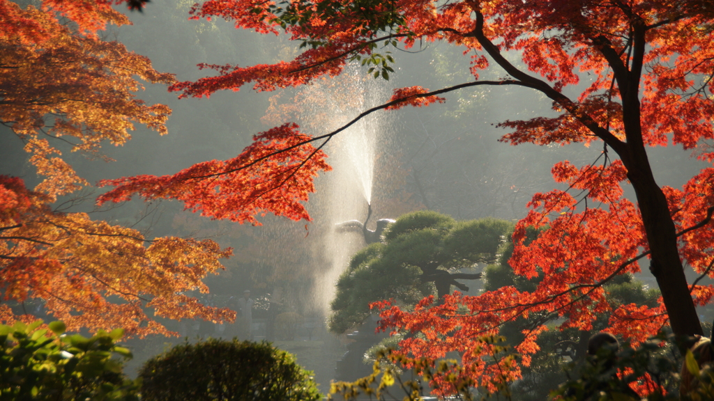 晩秋の都心　日比谷公園の紅葉