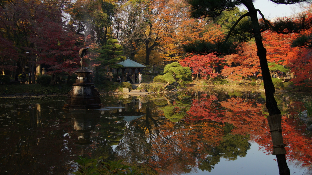 晩秋の都心 日比谷公園 