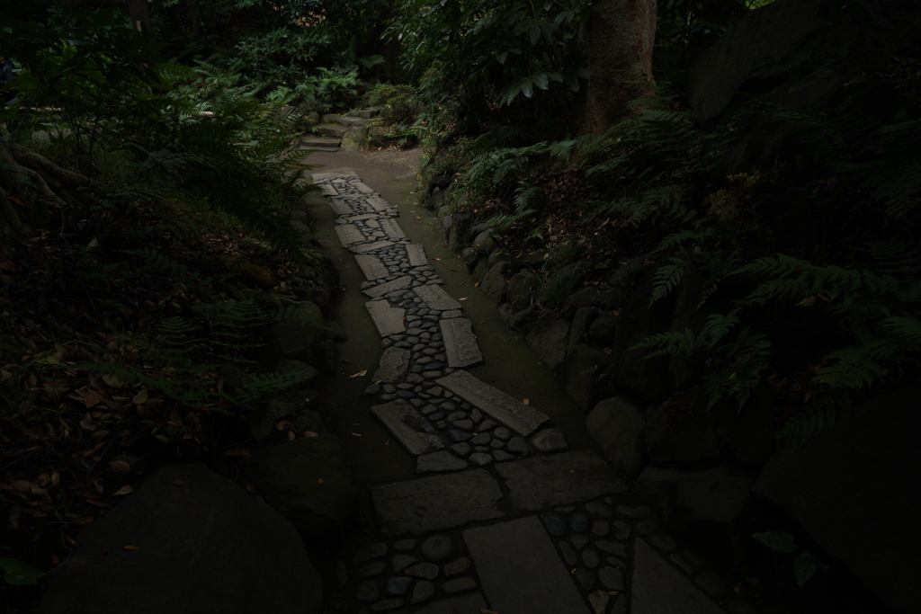 小石川後楽園の道を行く