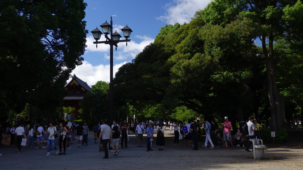 夏の上野公園を歩く１