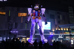 Shining in the night 