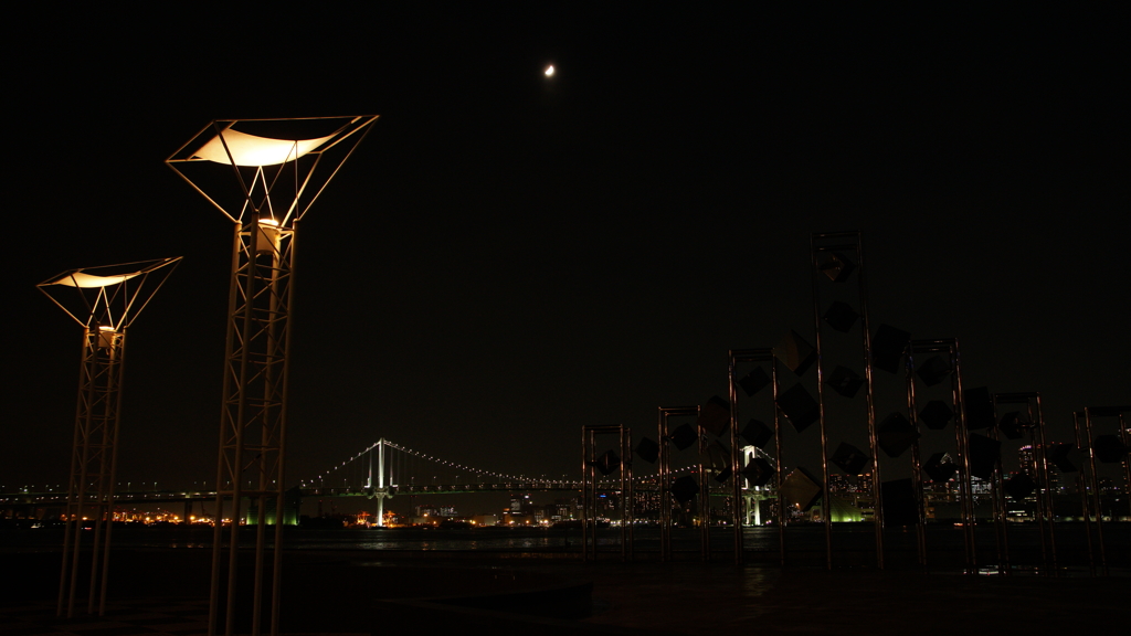 Tokyo bayside night cruising