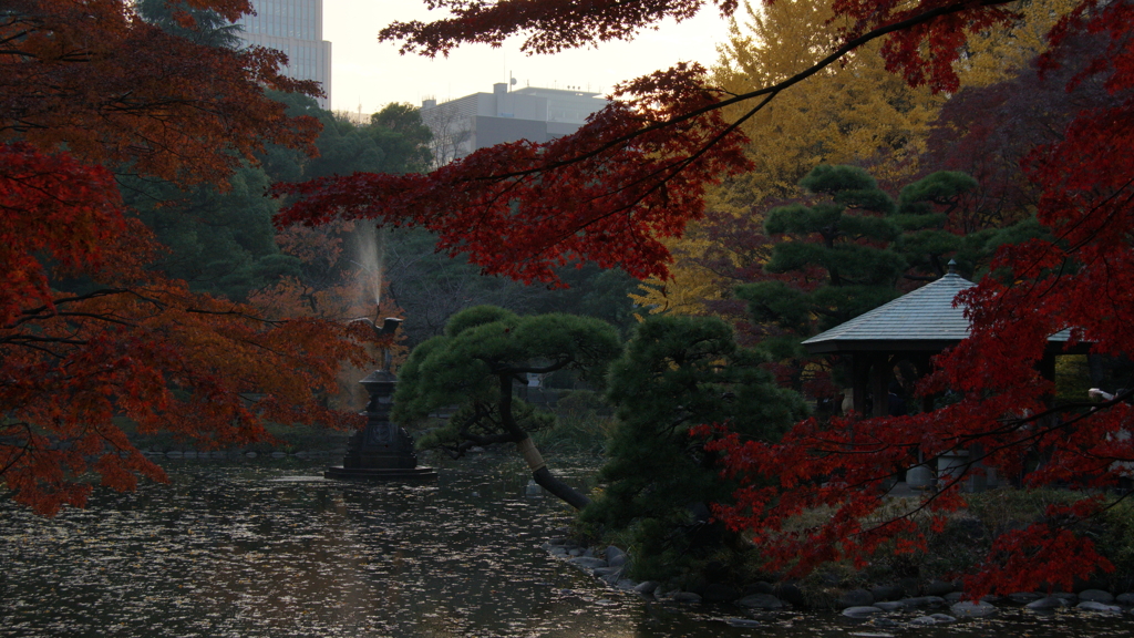 晩秋の都心 日比谷公園 