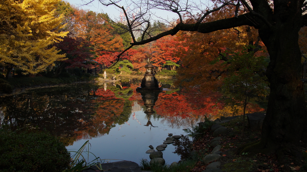 晩秋の都心 日比谷公園 