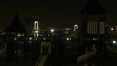Tokyo bayside night cruising