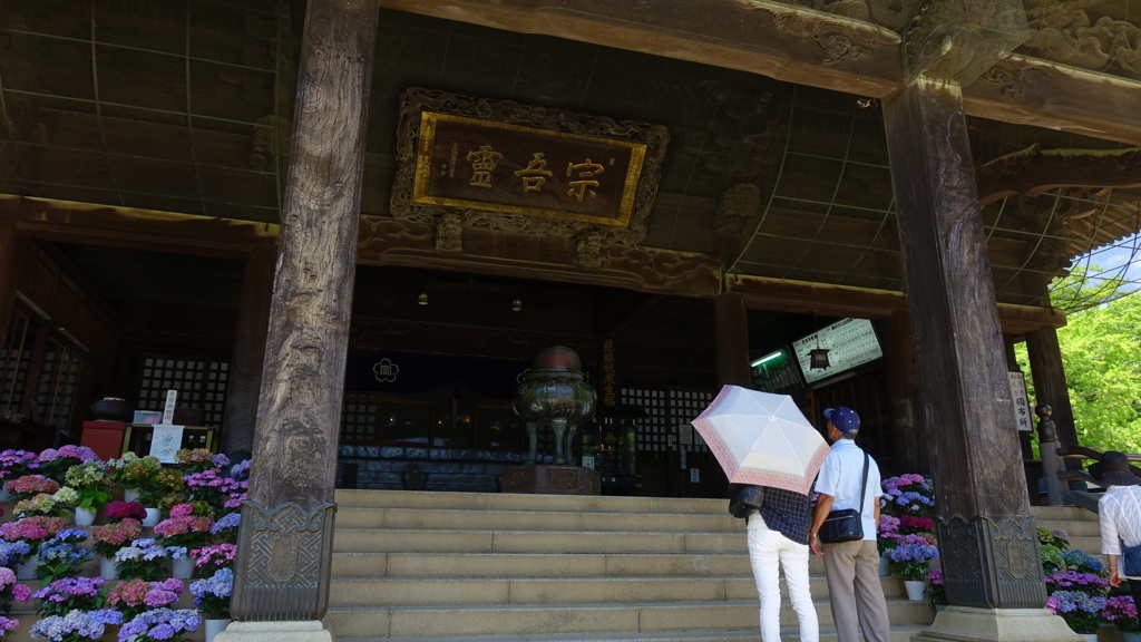 初夏の宗吾霊堂10