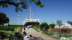 バラの咲く横浜みなとみらい9