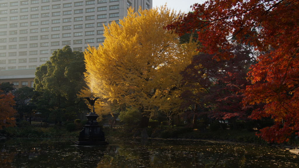 晩秋の都心 日比谷公園 