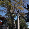 成田山新勝寺の紅葉