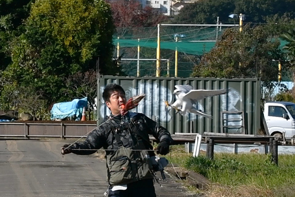 ビビッてませんから、2016