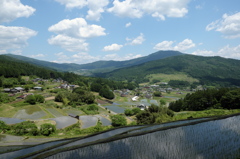 棚田