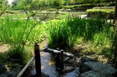 庭園にて