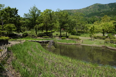 庭園散策