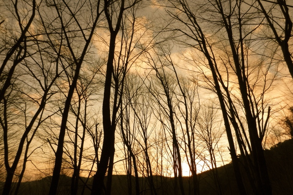十津川の夕方
