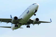 飛行機