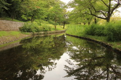 朝散歩1