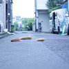 散歩11