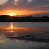 いつかの夕焼け