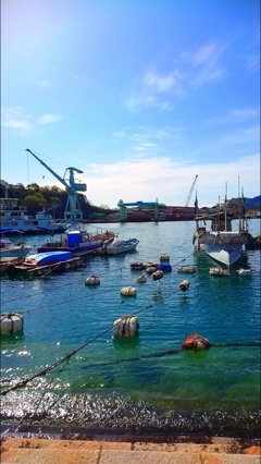 本日は快晴なり