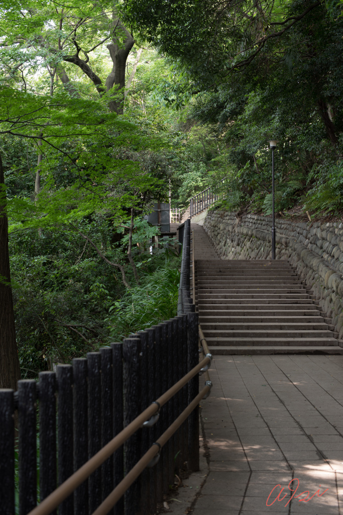 飛鳥山小径