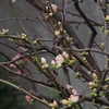 P2150080
