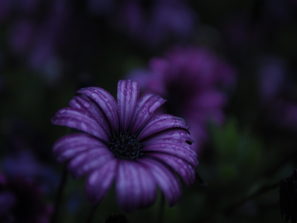 P5040708
