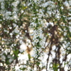 P3201095