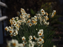 P2210274