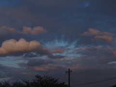 P4237593