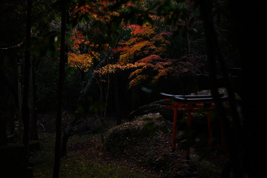紅葉と…２