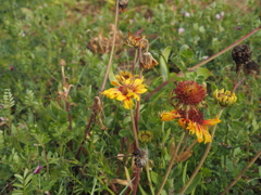 P3141297