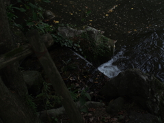 PA060084