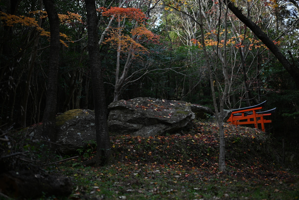 紅葉と…