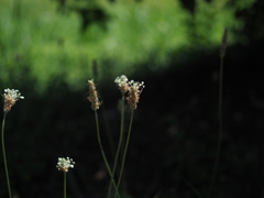 P8150165