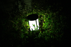 灯